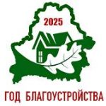 Год благоустройства