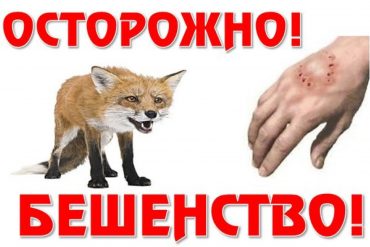 24 сентября 2026 года коллектив УЗ ВОКЛЦПиФ принял участие в ежегодном Едином дне безопасности